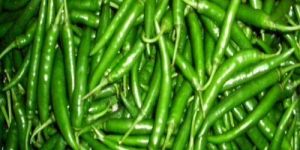 Fresh Green Chilli