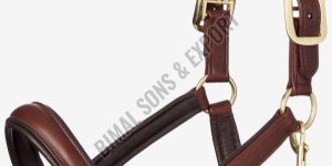 Brown Horse Anatomic Headcollar