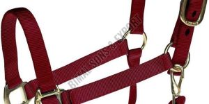 Personalized Horse Halters