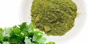 Dehydrated Coriander Powder