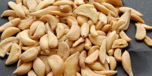 Dehydrated Garlic Flakes