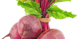 Fresh Organic Beetroot