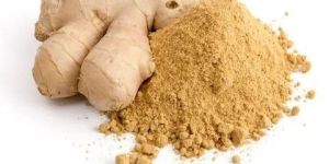 Dry Ginger Powder