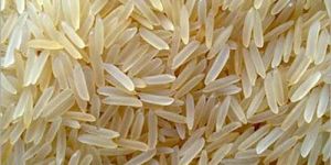 Basmati 1121 Golden Sella