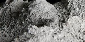 Power Plant Fly Ash Powder