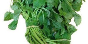 Spinach