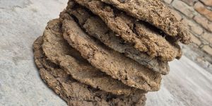 Cow Dung Cake