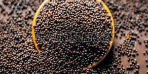 Black Mustard Seeds