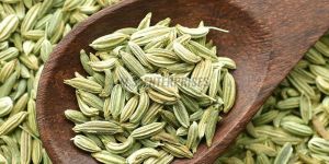 Fennel Seeds