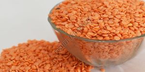 Split Red Masoor Dal