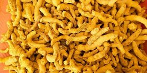 Turmeric Finger