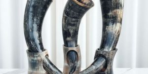 Aurazio Handcrafted Viking Drinking Horn Set with Stand
