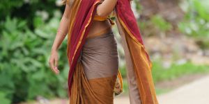 Mal Cotton Saree Rainbow