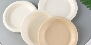 Compostable Round Plates