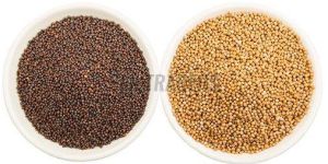 Natural Mustard Seeds