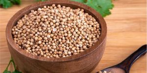 Whole Coriander Seeds