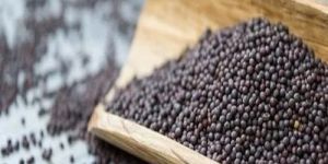 Black Mustard Seeds
