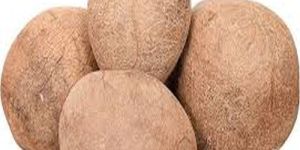 Dry A Grade Coconut Copra