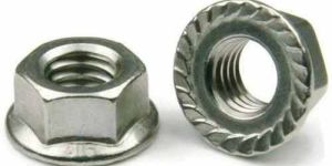 Galvanized Iron Flanges Nut
