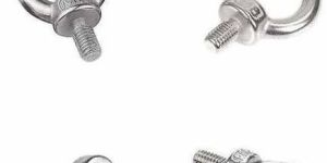 Stainless Steel Eye Bolt