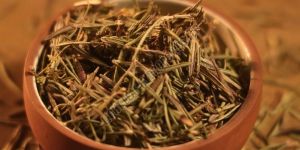Dried Rosemary Leaves
