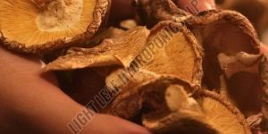 Premium Sun Dried Shiitake Mushroom