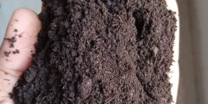 Bio Organic Fertilizer