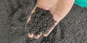 Vermicompost Fertilizer