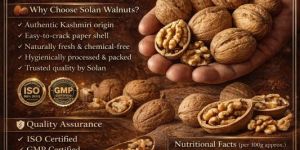 Kashmiri Walnuts