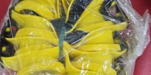 Sand Blasting Goggles