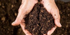 Potting Soil Mix