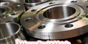 Stainless Steel Flanges