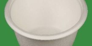 Bagasse Disposable Bowls