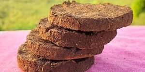 Cow Dung