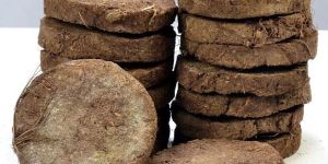 Cow Dung Cake