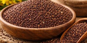 Brown Mustard Seeds