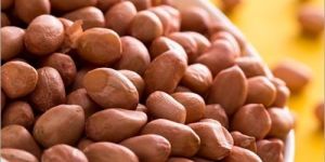 Raw Peanut Kernels