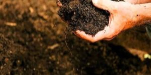 Brown Vermicompost Fertilizer