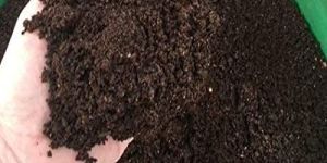 Natural Vermicompost Fertilizer