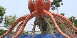 Octopus Rain Dance Setup