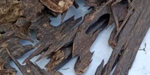 Brown Agarwood Chip