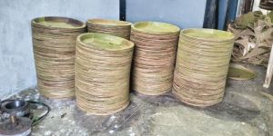 bauhiniavahlii leaf plates