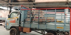 All India Relocation Services