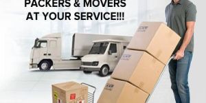 Packers Movers