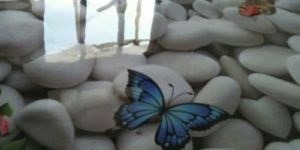 Epoxy Flooring Services