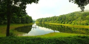 trivandrum varkala alleppey kochi munnar vagamon domestic tour