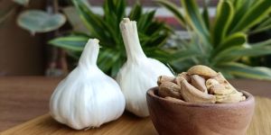 Dehydrated Garlic Flakes