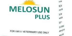 Meloxicam Paracetamol Injection