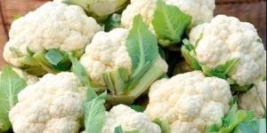 Fresh Cauliflower