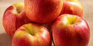 Fresh Red Apple